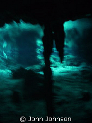 this is in the cenotes in mexico , the photo was taken wi... by John Johnson 